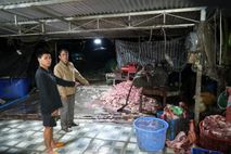 Triệt phá đường dây tiêu thụ khoảng 400 tấn heo bệnh, heo chết