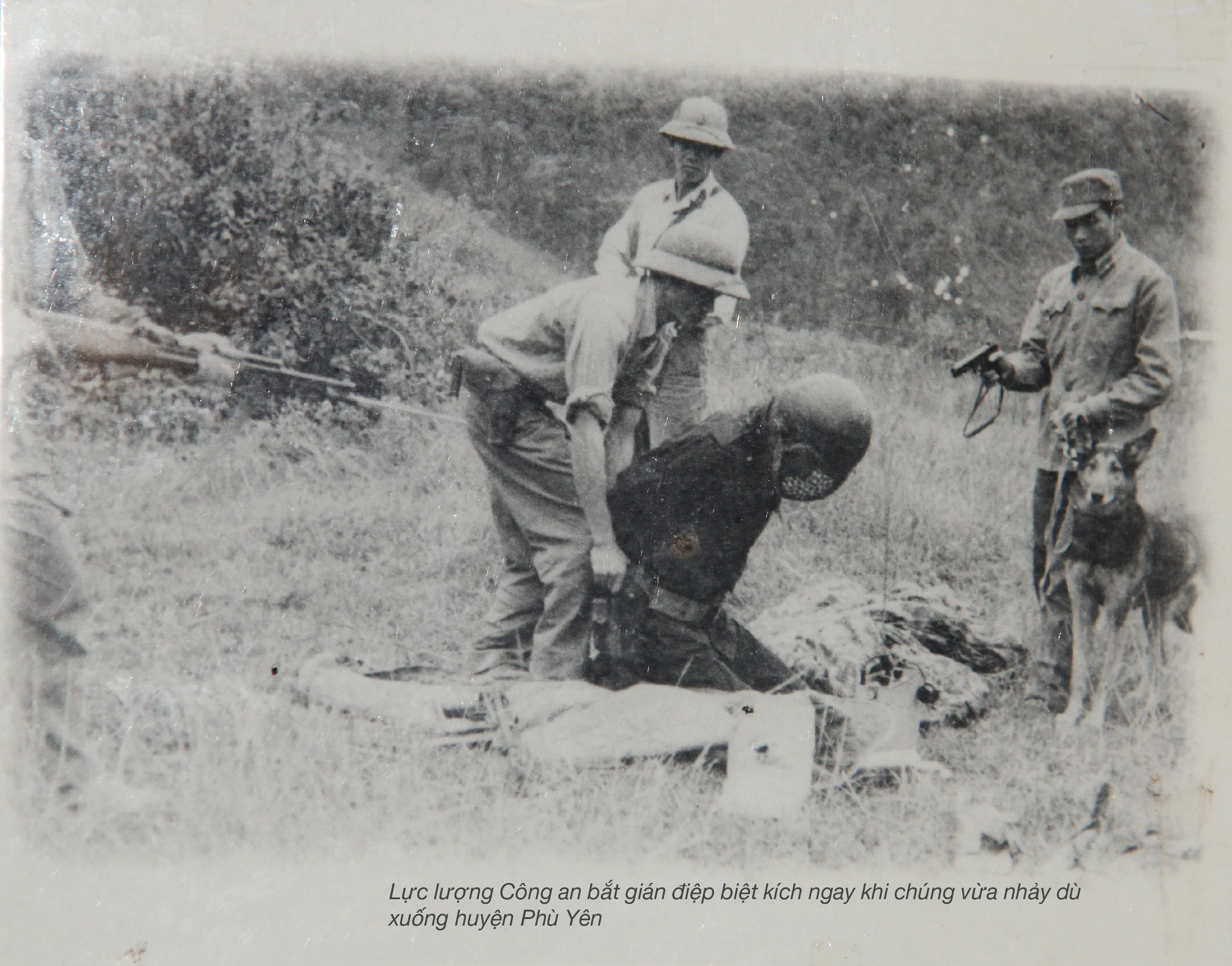 Sample alt text