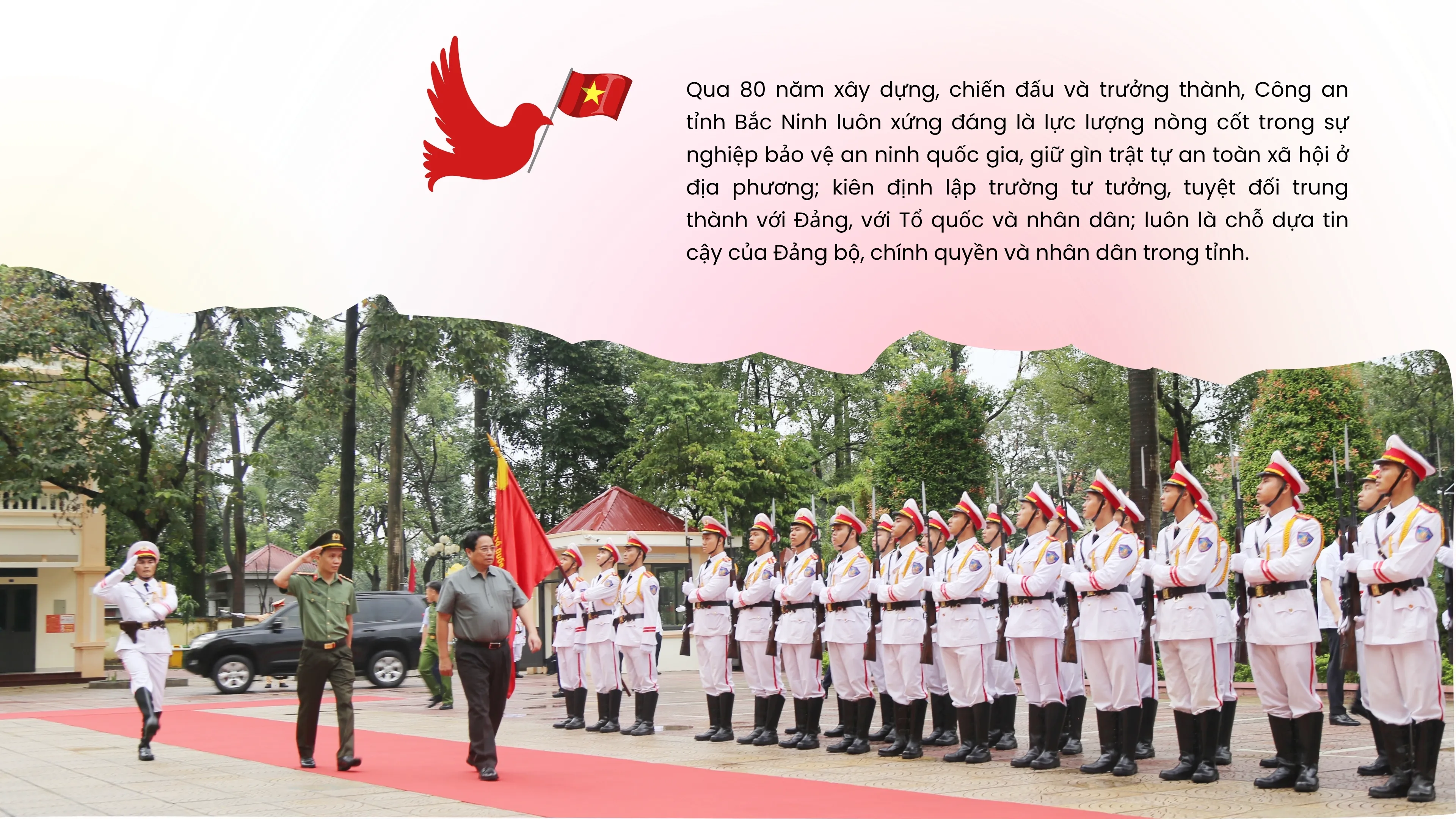 Full width image