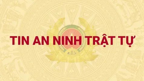 Kết luận điều tra đề nghị truy tố vắng mặt đối với bị can truy nã Nguyễn Công Minh trong vụ án xảy ra tại Công ty TNHH Cây xanh Công Minh