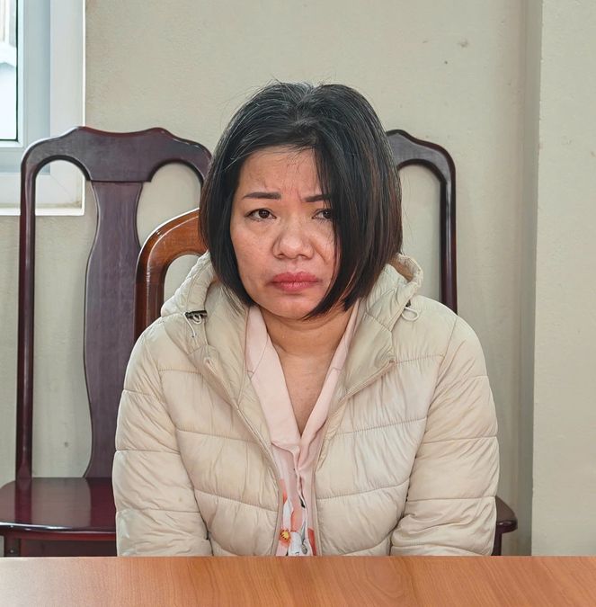 Hà Nội: Khởi tố, bắt tạm giam giúp việc bạo hành cụ bà