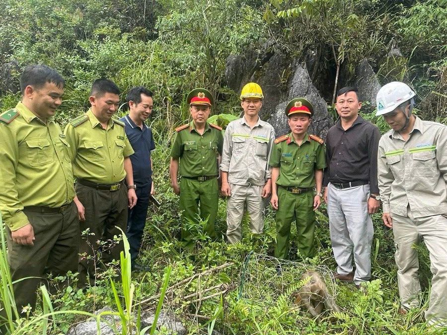 Giải cứu, tiếp nhận nhiều động vật hoang dã quý hiếm, tái thả về thiên nhiên