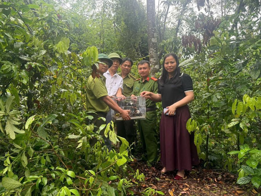 Công an nhiều địa phương tăng cường kiểm tra, xử lý nghiêm hành vi buôn bán động vật hoang dã trái phép