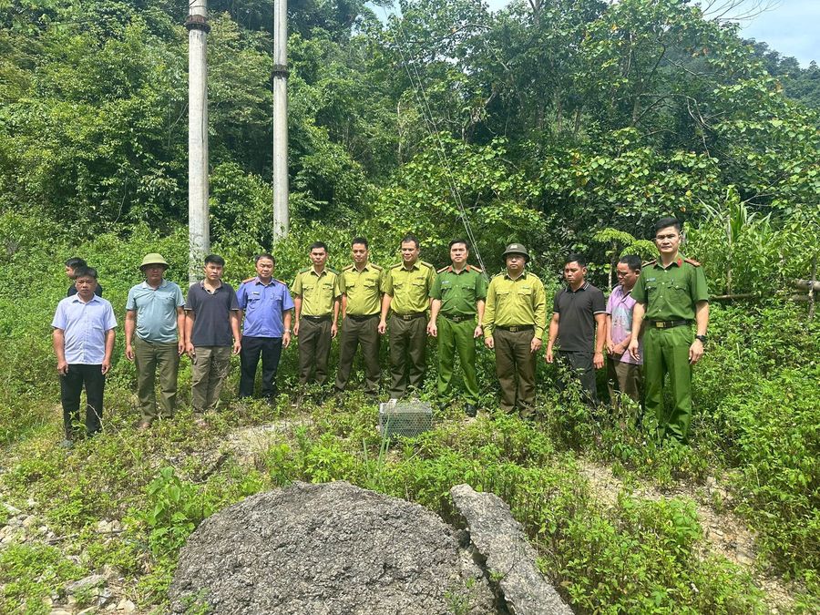 Phú Thọ: Tăng cường đấu tranh với tội phạm, vi phạm pháp luật về bảo tồn thiên nhiên
