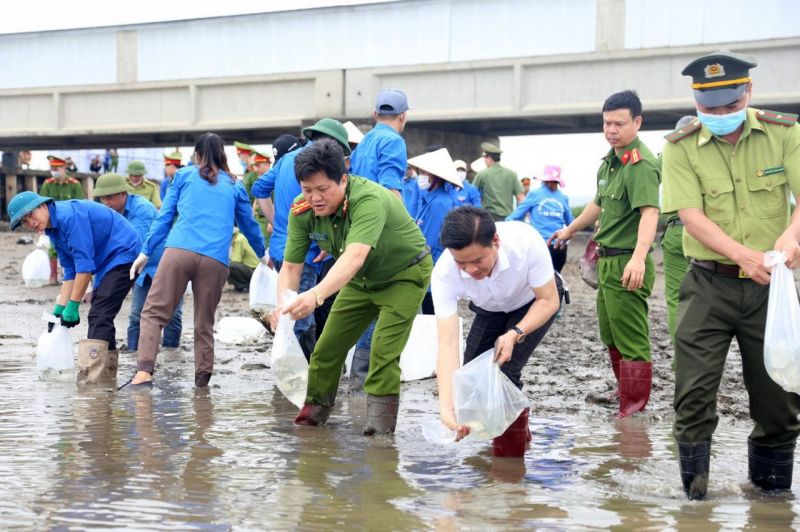 Góp phần hoàn thiện cơ sở pháp lý phòng, chống tội phạm về môi trường