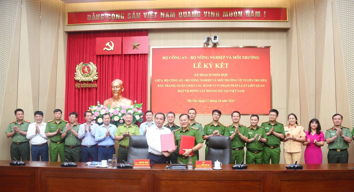 Sơ kết cao điểm 90 ngày Chiến dịch làm giàu, làm sạch Cơ sở dữ liệu quốc gia về đất đai