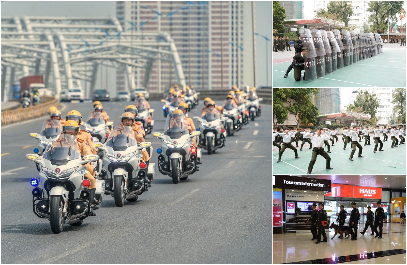 ipiccy_image (6).jpg