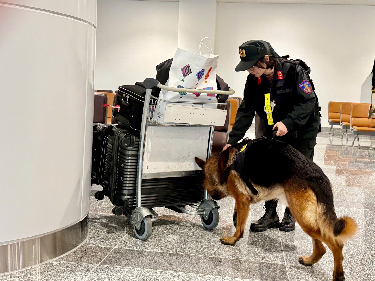 4347666317648876909 (2).jpg