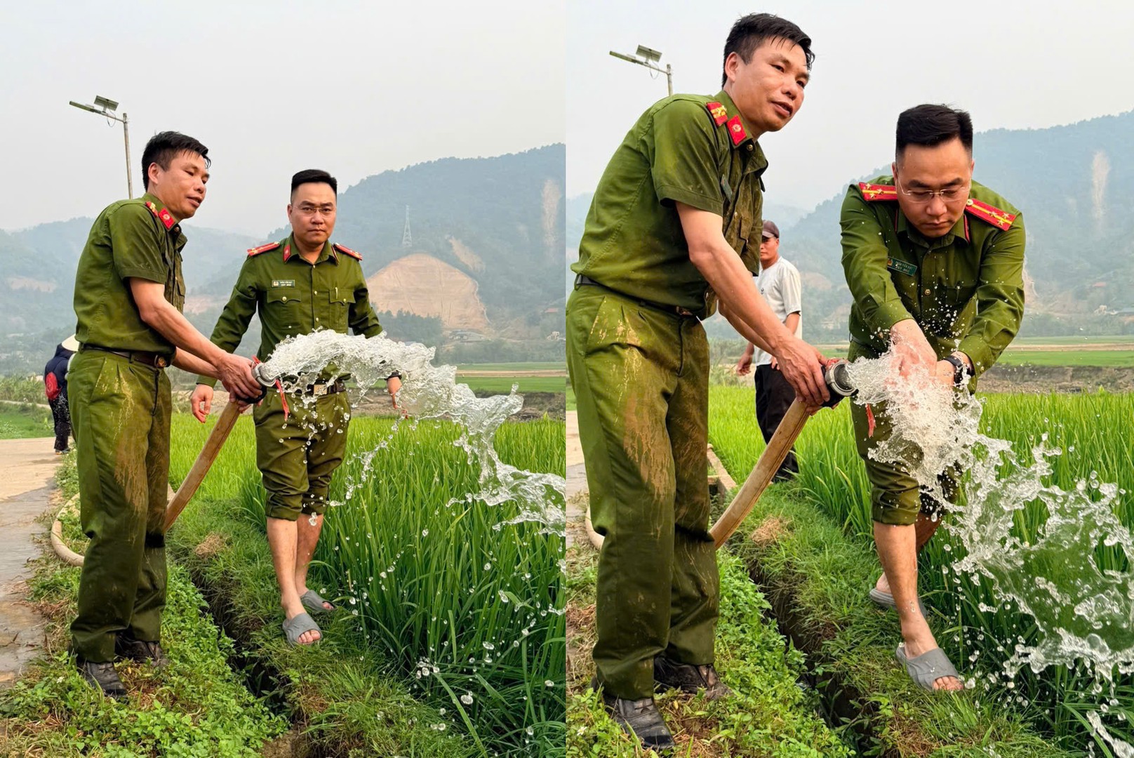 4527745799656770454 (2).jpg