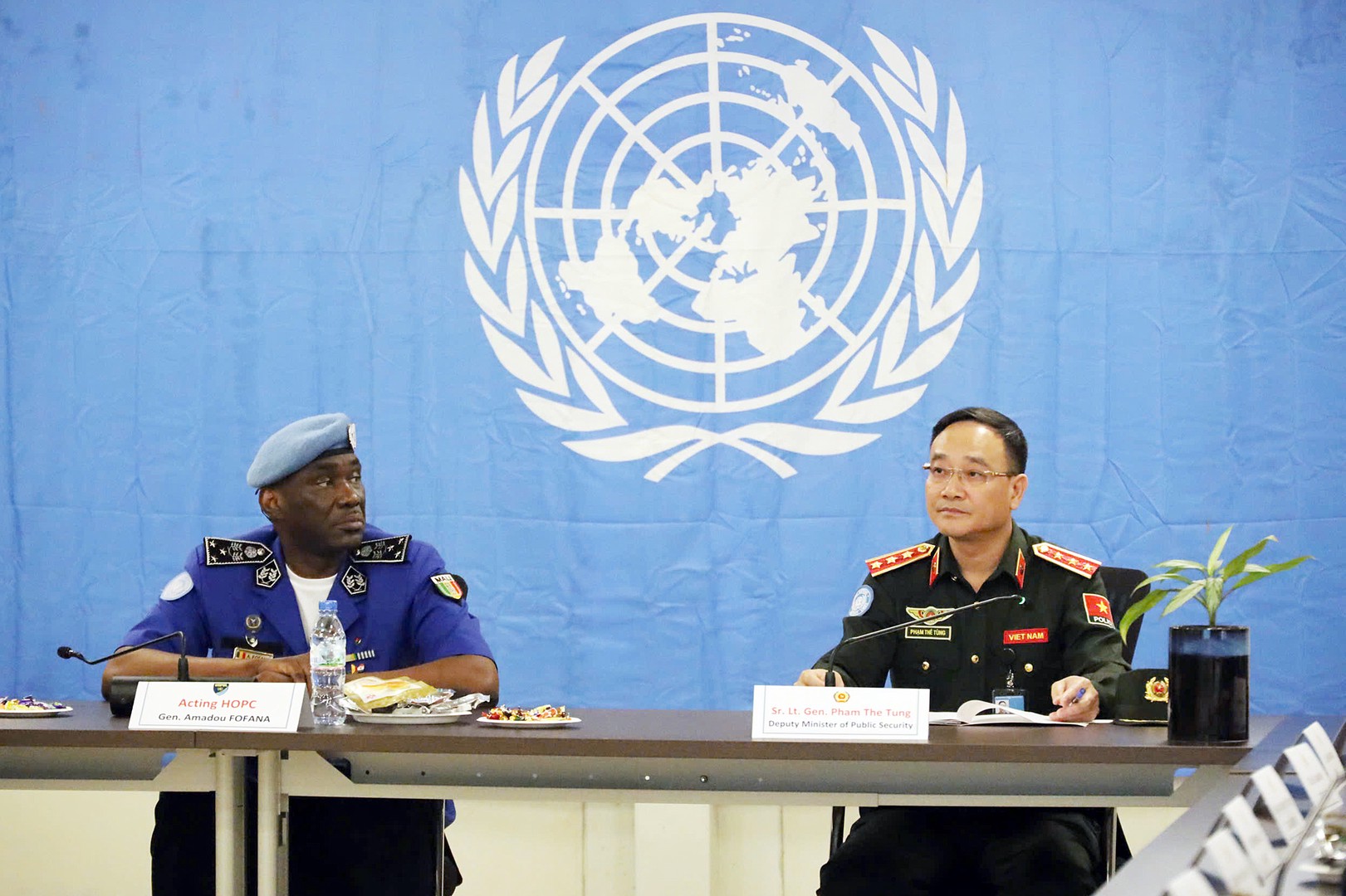 1 qtl cs minusca.jpg