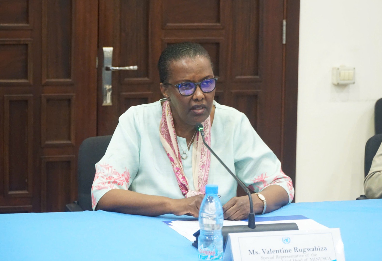 2 minusca.jpg