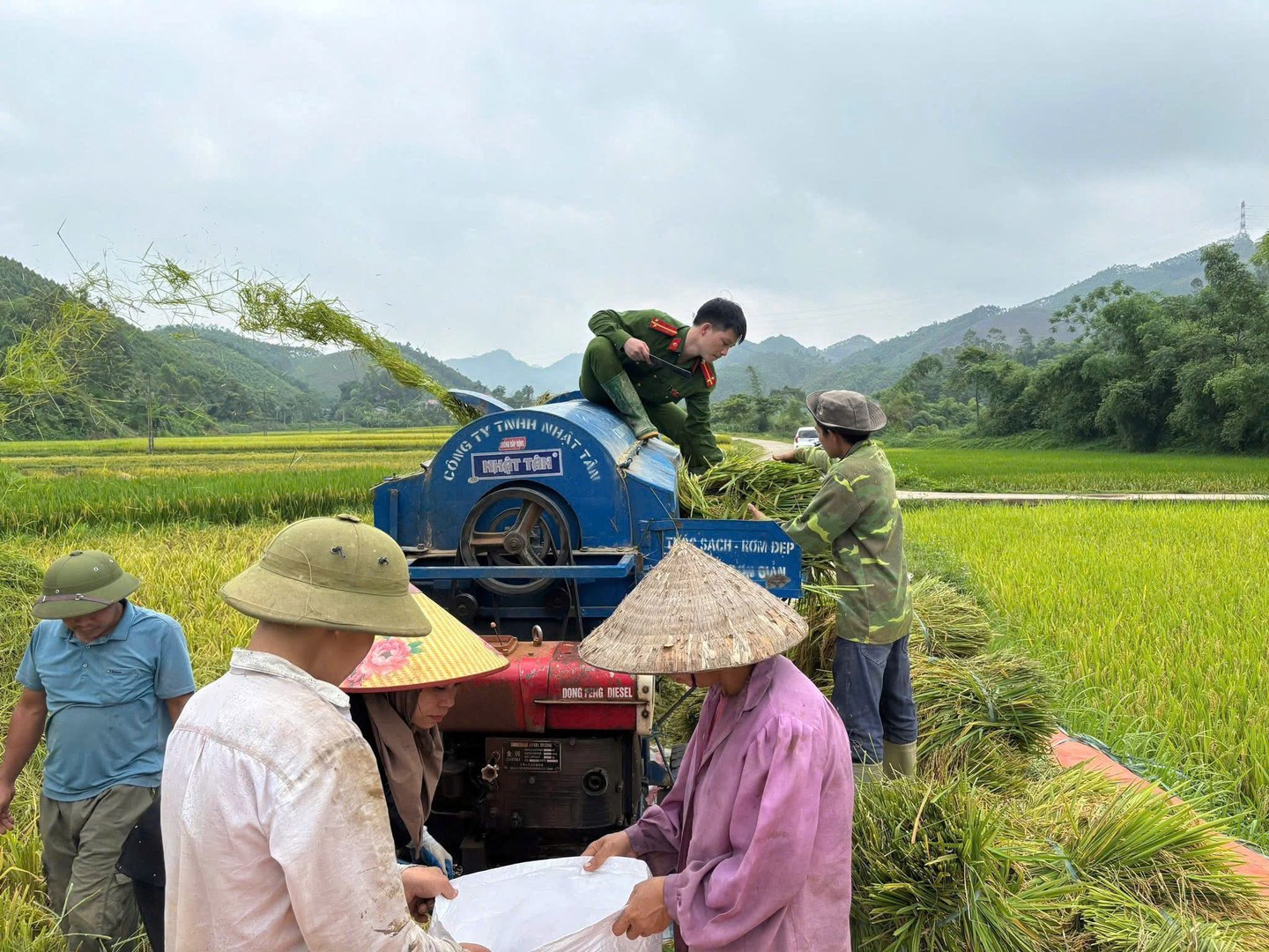 Công an xã Yên Thành giúp nhân dân gặt lúa.jpg