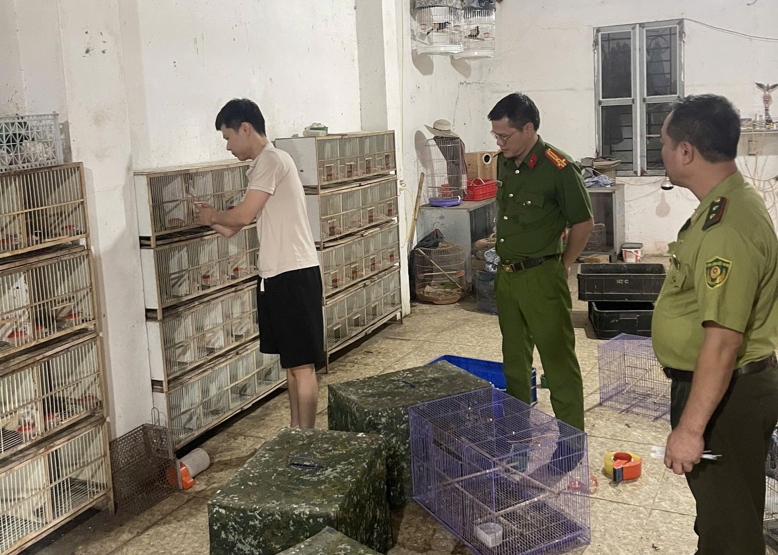 Hải Phòng.jpg