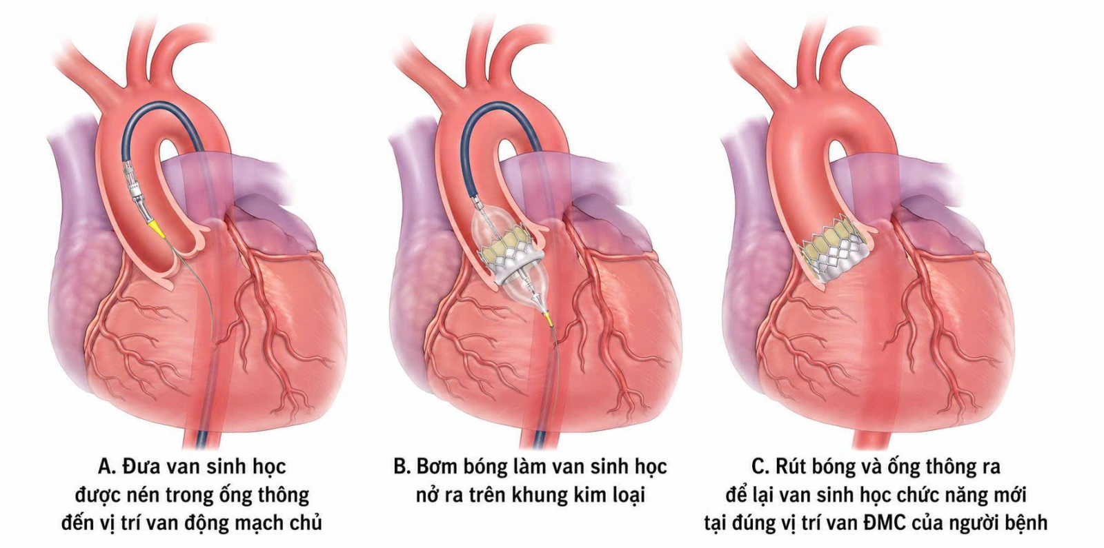 image-20260605235340-9.png