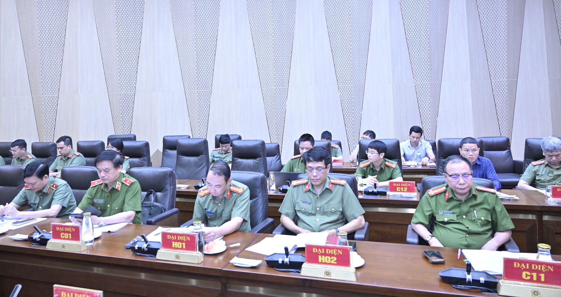daibieu1.JPG