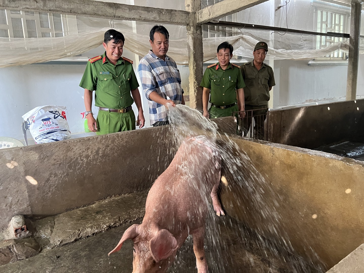 photo-library-20260625084311-71fa1cc2-83d7-49ff-bf05-2b06bd0bf4e4-cong-an-xa-vinh-my-va-luc-luong-an-ninh-trat-tu-co-so-tham-quan-mo-hinh-chan-nuoi-heo-cua-anh-nguyen-van-loc-em.JPG