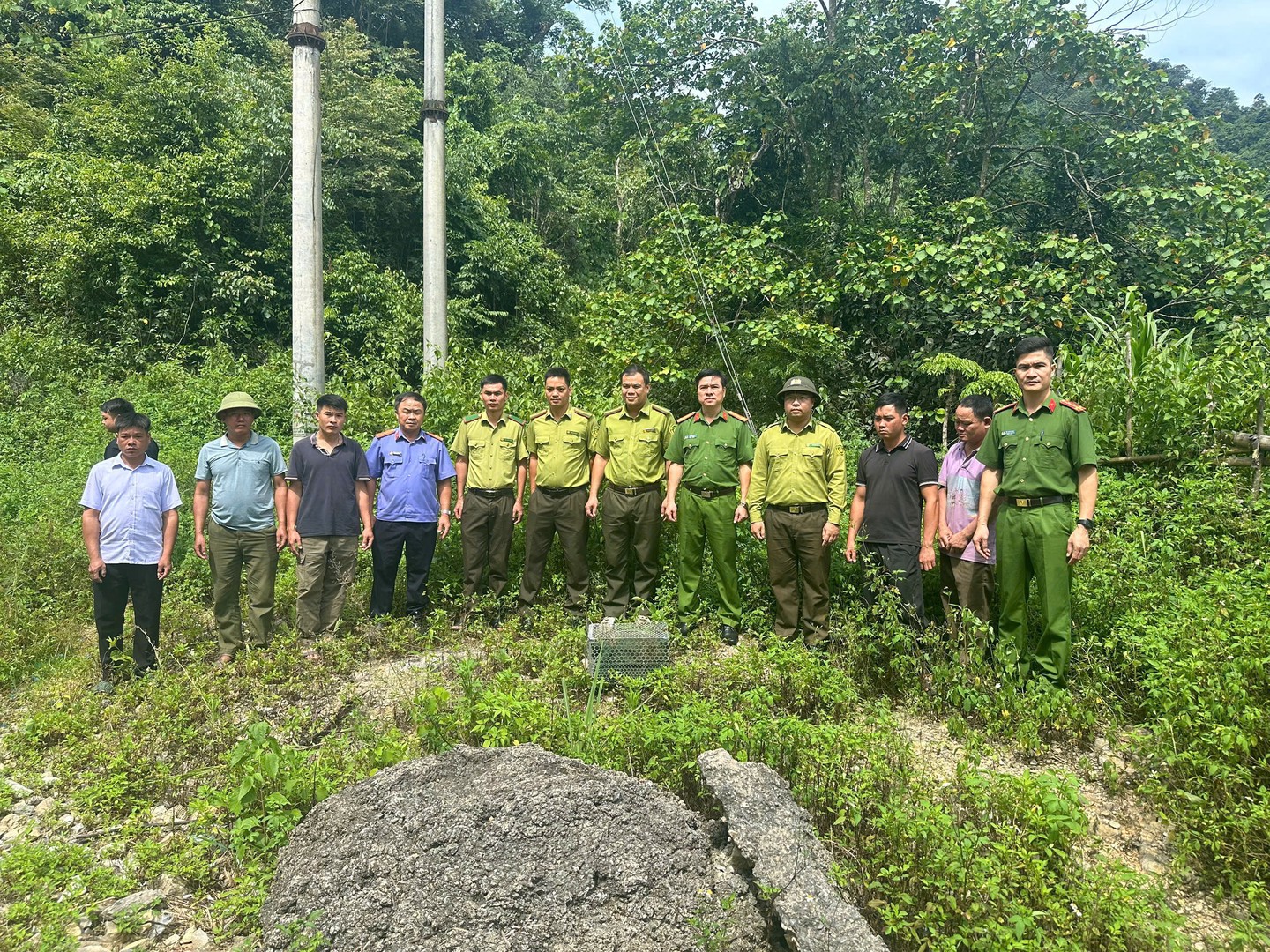 Lực lượng chức năng phối hợp tái thả cá thể rắn hổ mang chúa về môi trường tự nhiên.jpg