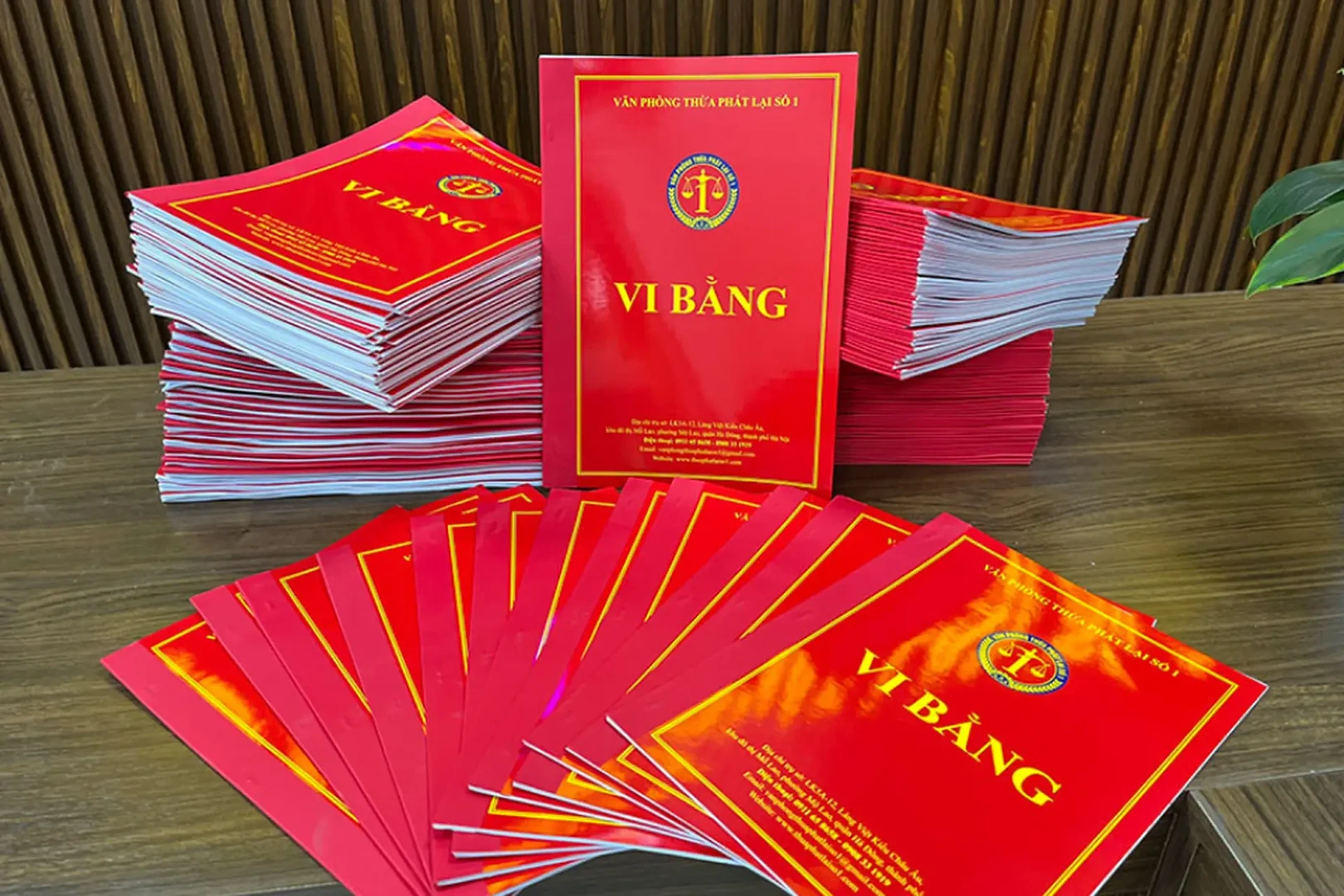vi bang.webp
