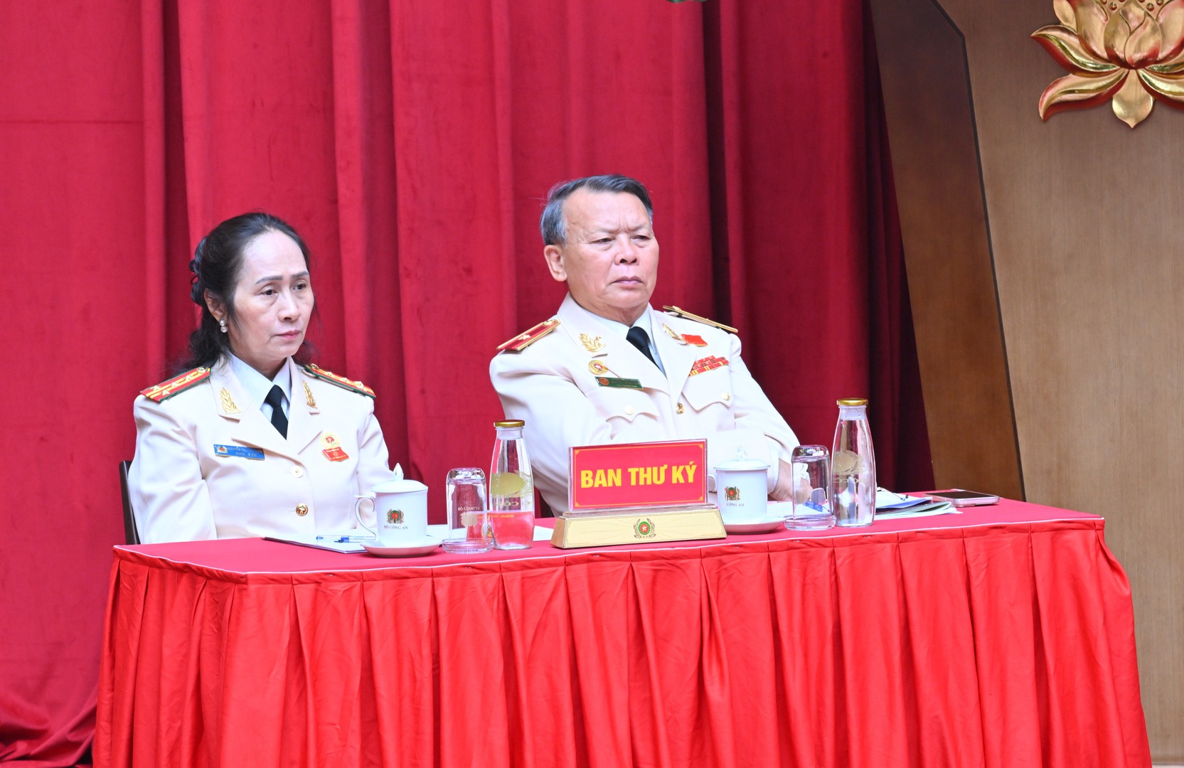 TDT_3540.jpg