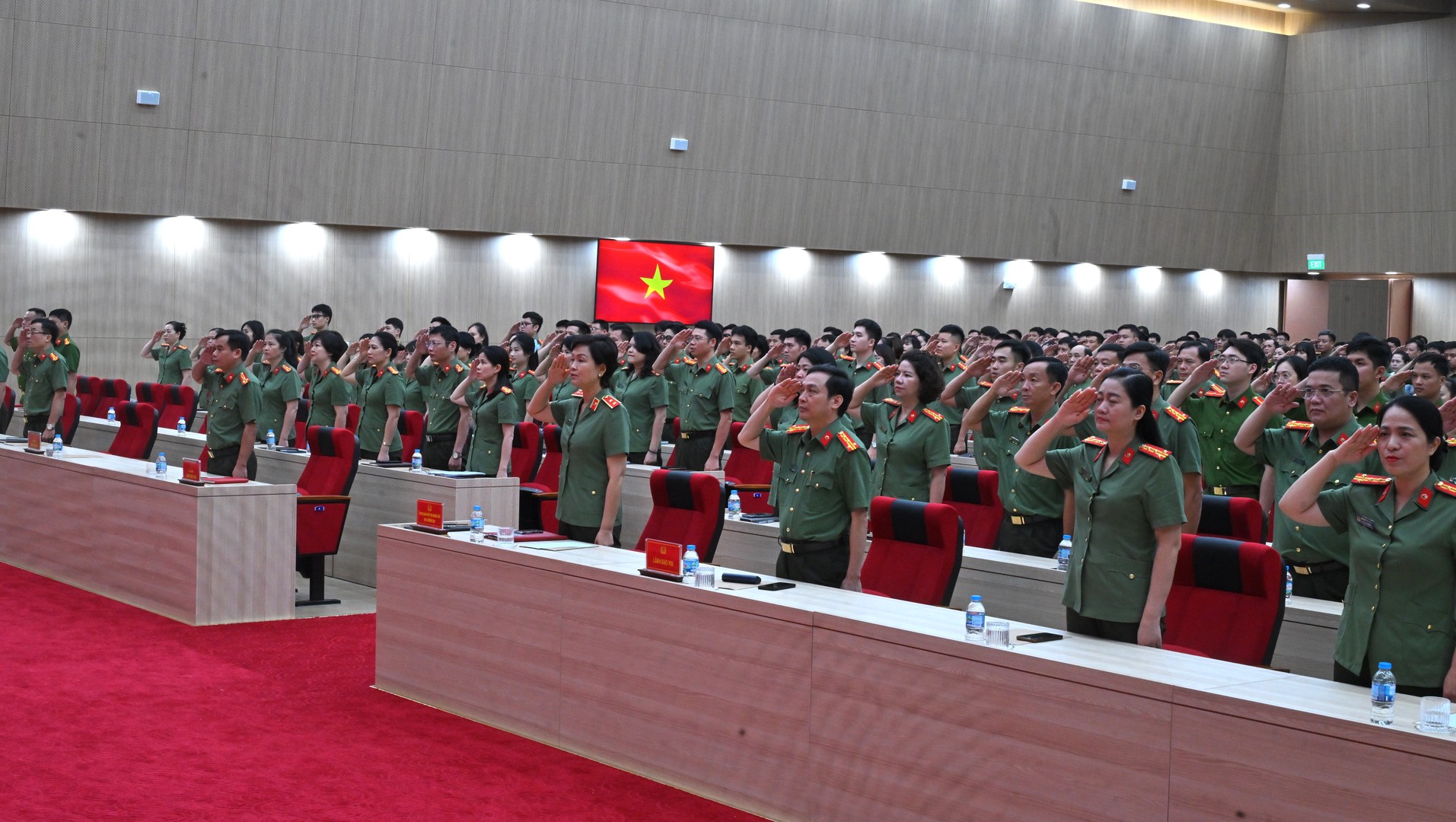TDT_5114.jpg