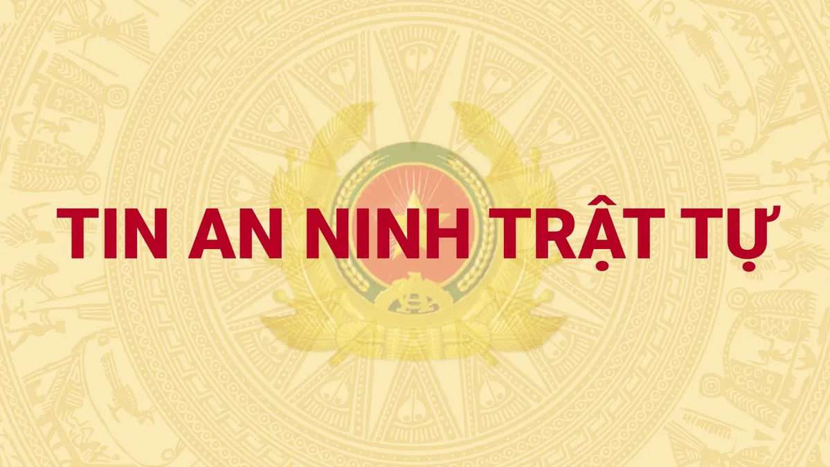 Thông tin về vụ chế tạo, tàng trữ, mua bán trái phép vũ khí quân dụng hoạt động ở nhiều tỉnh, thành phố với số lượng lớn