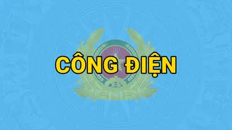 Tập trung ứng phó với diễn biến bão số 7 và hoàn lưu bão gây mưa lớn