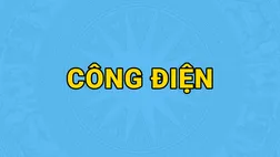 Chủ động ứng phó với diễn biến bão số 5 và nguy cơ mưa lớn gây ngập lụt, sạt lở đất, lũ ống, lũ quét