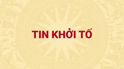 Khởi tố Hoàng Thị Hường (chủ hệ sinh thái Hoàng Hường)