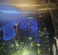 Quảng Ninh: Kịp thời cứu tài xế mắc kẹt trong vụ lật xe tải chở gỗ tại Tiên Yên