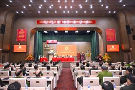 Vietnamese Former People's Public Security Officers Association reviews half-term performance