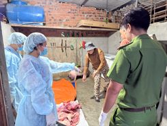 Quảng Ngãi: Ngăn chặn thịt lợn bẩn tuồn ra thị trường dịp Tết