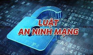 Lấy ý kiến dự thảo Nghị định quy định chi tiết một số điều của Luật An ninh mạng