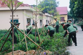 Hội Phụ nữ Cục Đào tạo hưởng ứng phong trào “Tết trồng cây đời đời nhớ ơn Bác Hồ” năm 2026