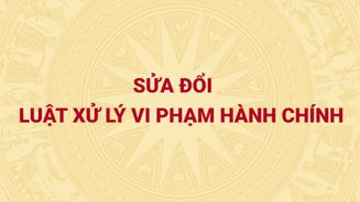 Sửa đổi Luật Xử lý vi phạm hành chính nhằm góp phần nâng cao hơn nữa hiệu quả thi hành quyết định xử phạt hành chính