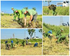 Hà Tĩnh: Hỗ trợ người dân thu hoạch mùa màng, tăng cường các biện pháp bảo đảm an ninh, trật tự, an toàn giao thông