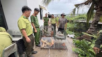 Bảo vệ động vật hoang dã đã được triển khai đồng bộ, hiệu quả hơn