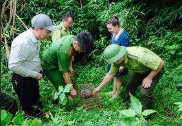 Công an tỉnh Nghệ An tăng cường bảo vệ động vật hoang dã, bảo tồn đa dạng sinh học