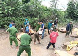 Gia Lai: Tích cực khắc phục sự cố do mưa bão để người dân đón Tết Độc lập
