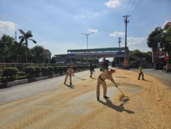 Cảnh sát giao thông Quảng Ninh cùng người dân gom ngô, đậu bị đổ ra đường giúp tài xế