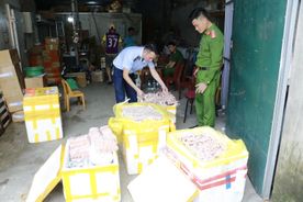 Nghệ An: Phát hiện hàng ngàn chân gà, xúc xích, nem chua thịt đông lạnh không rõ nguồn gốc