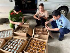 Công an Lai Châu Thu giữ gần 1.000 chiếc bánh Trung thu không rõ nguồn gốc
