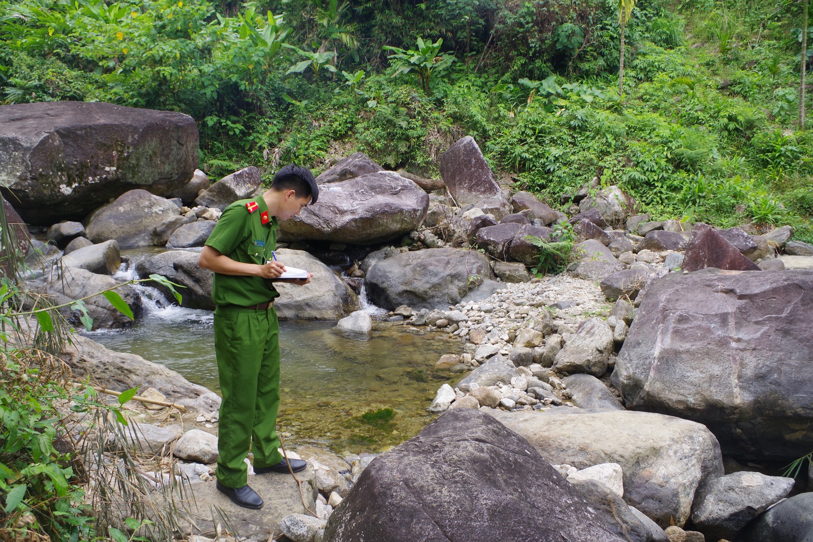 Hình 2 (13).JPG