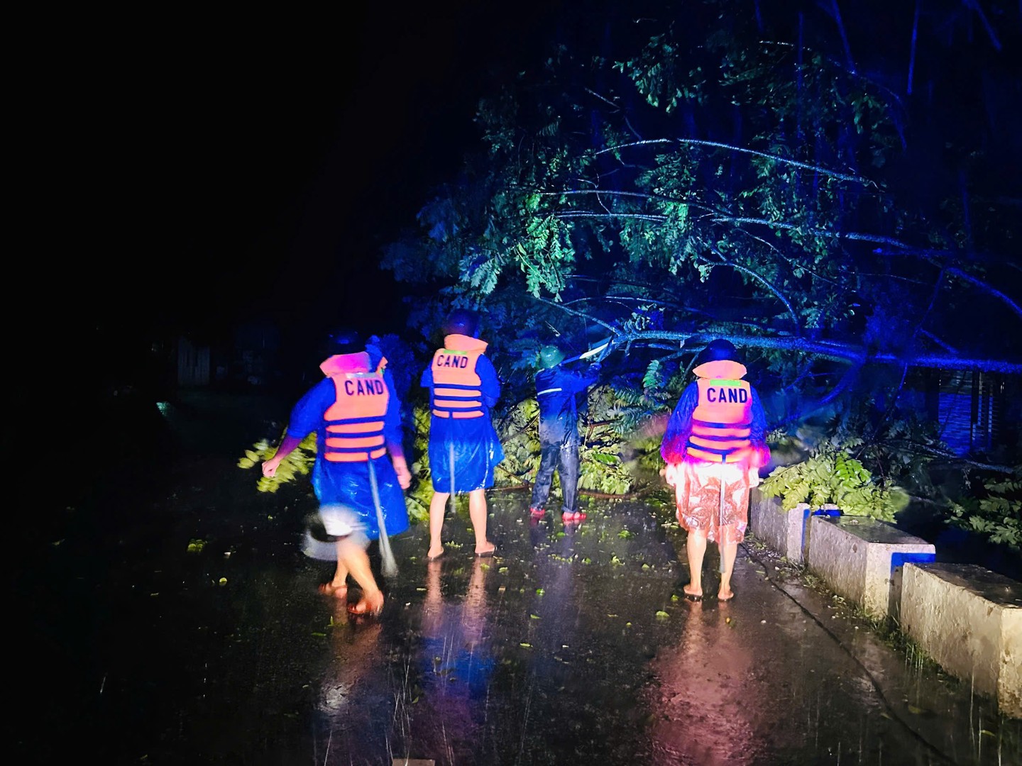 Lực lương Công an tranh thủ dọn dẹp cây đổ, đảm bảo an toàn giao thông.jpg