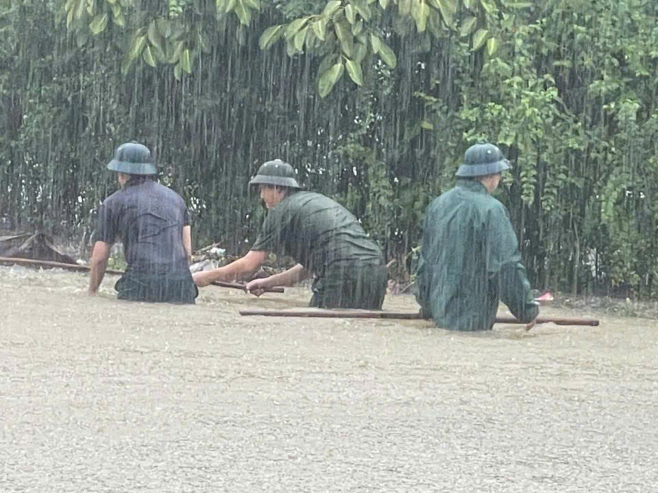 Anh 10 (1).jpg