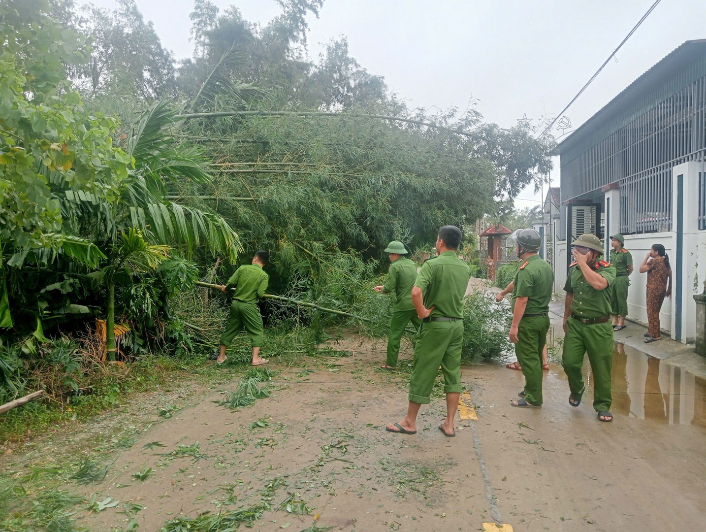 Các trục đường chính của xã Đức Quang, và tại các thôn Triều Đông, Trung Thành, Quang Lộc 1, Quang Lộc 2,....jpg