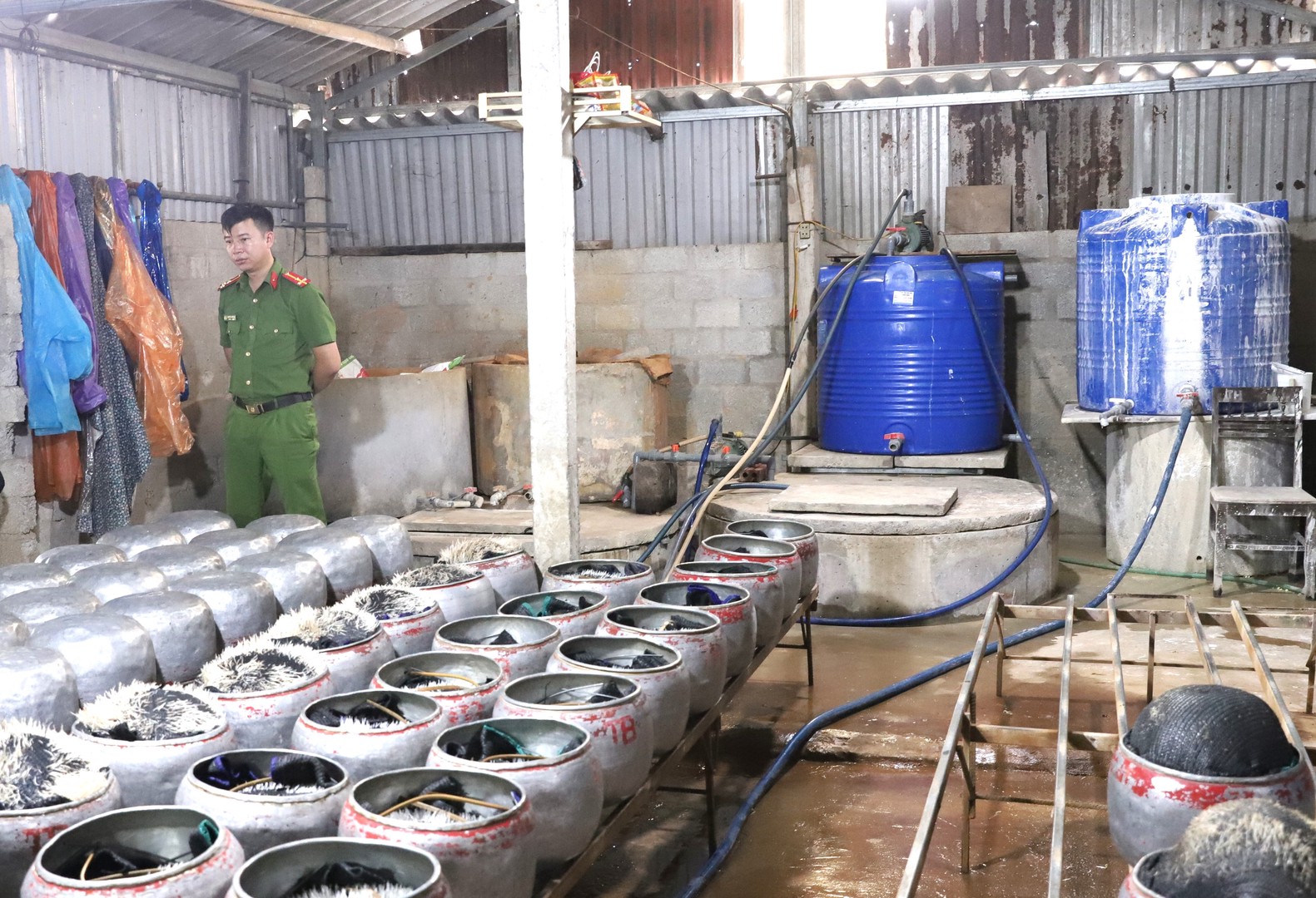 Cơ sở sản xuất giá đỗ có sử dụng chất cấm bị phát hiện.JPG
