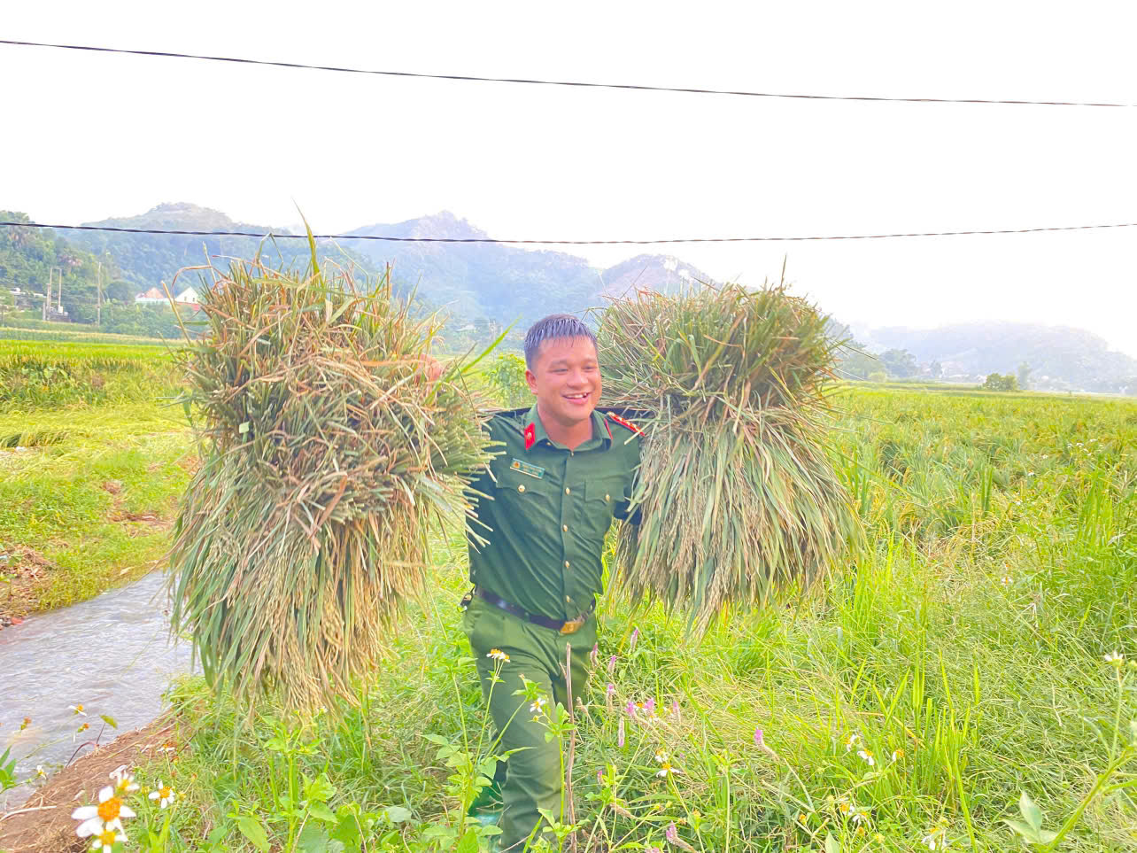 Hình ảnh Công an xã cùng nhân dân thu hoạch lúa chạy bão, làm sáng lên hình ảnh đẹp của người chiến sỹ Công an trong lòng nhân dân.jpg