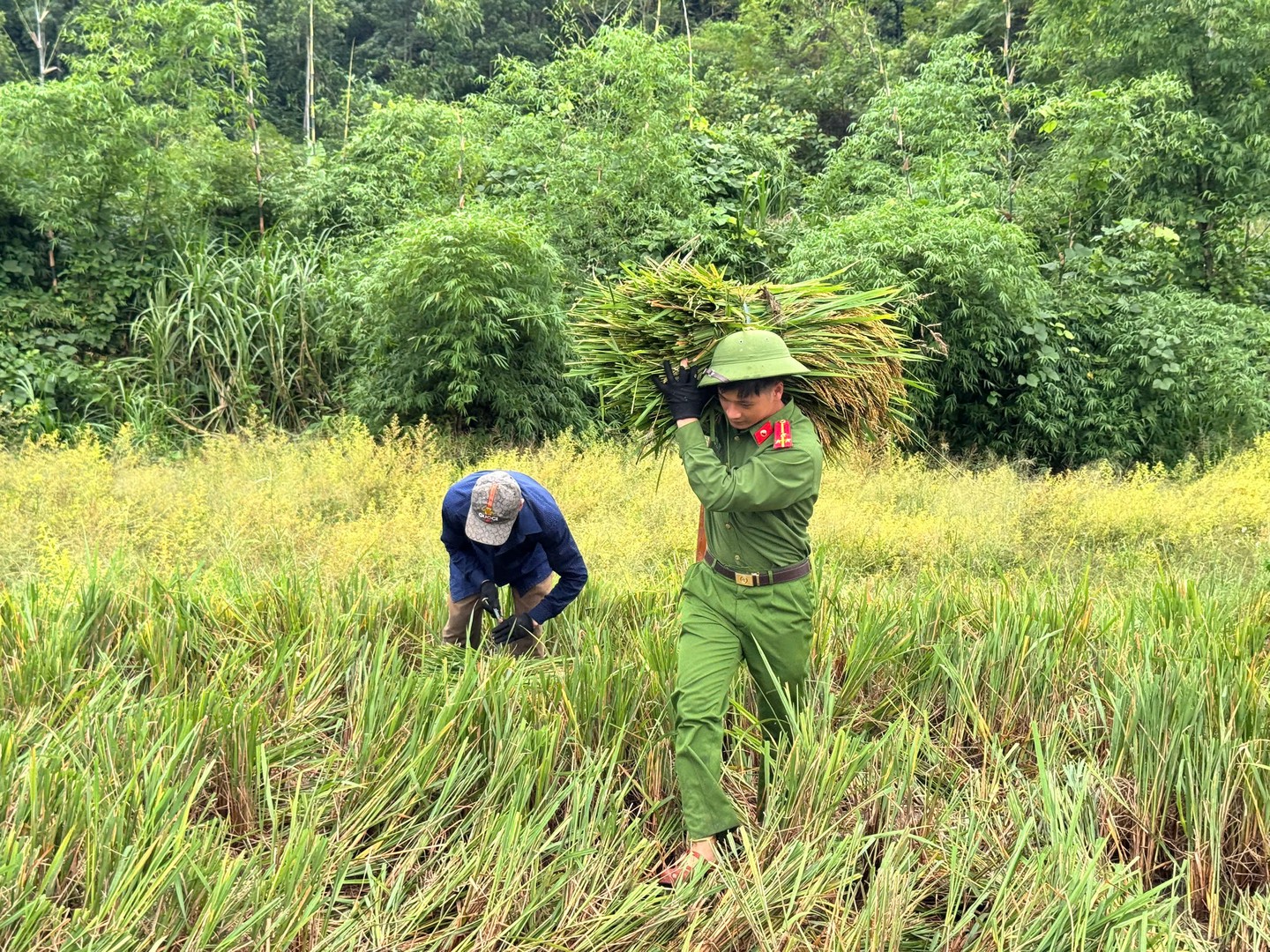Mỗi bó lúa là mồ hôi công sức của nhân dân suốt vụ mùa, nay được lực lượng Công an xã chung tay bảo vệ trước ảnh hưởng của cơn bão.jpg