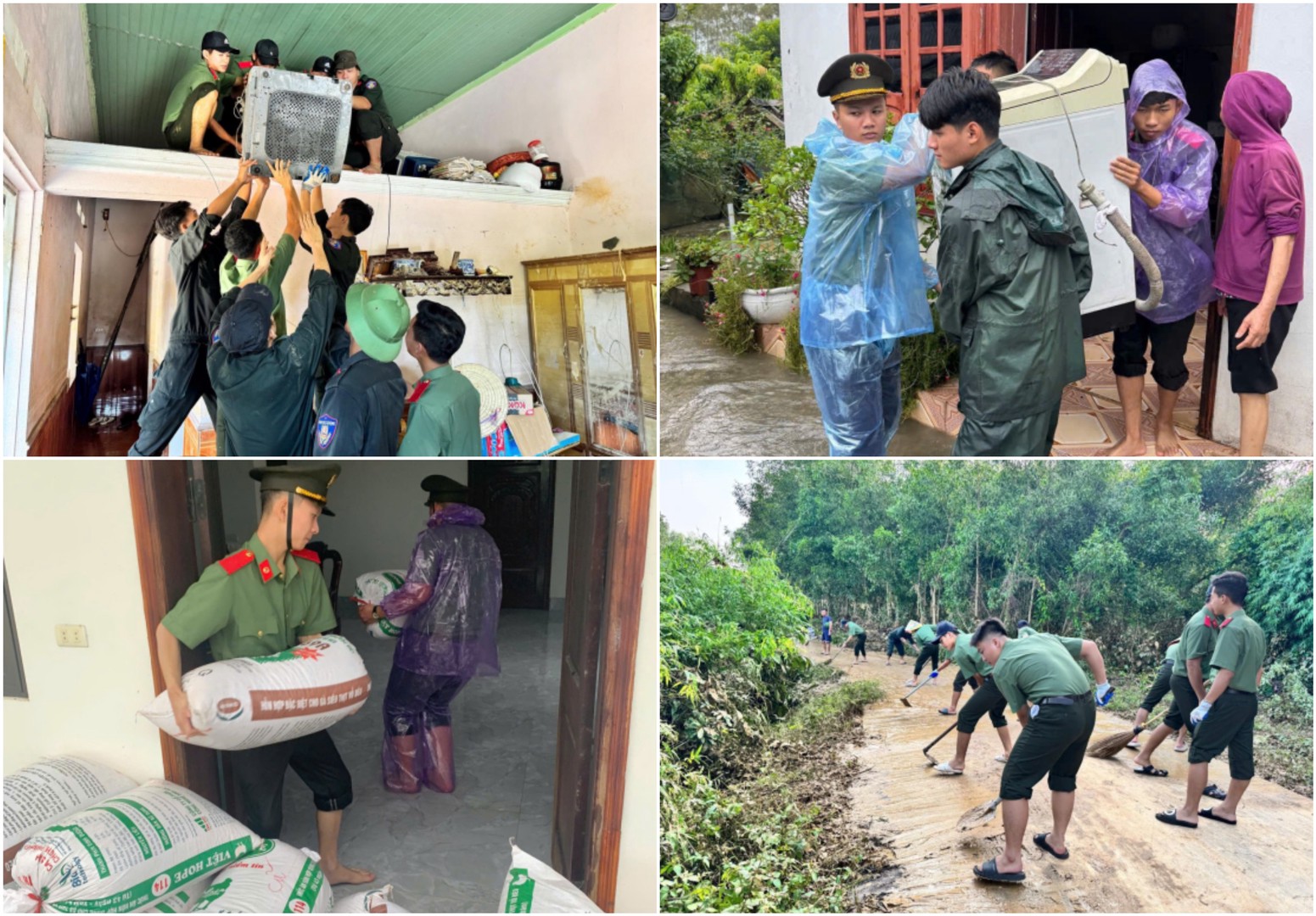 ipiccy_image (14).jpg