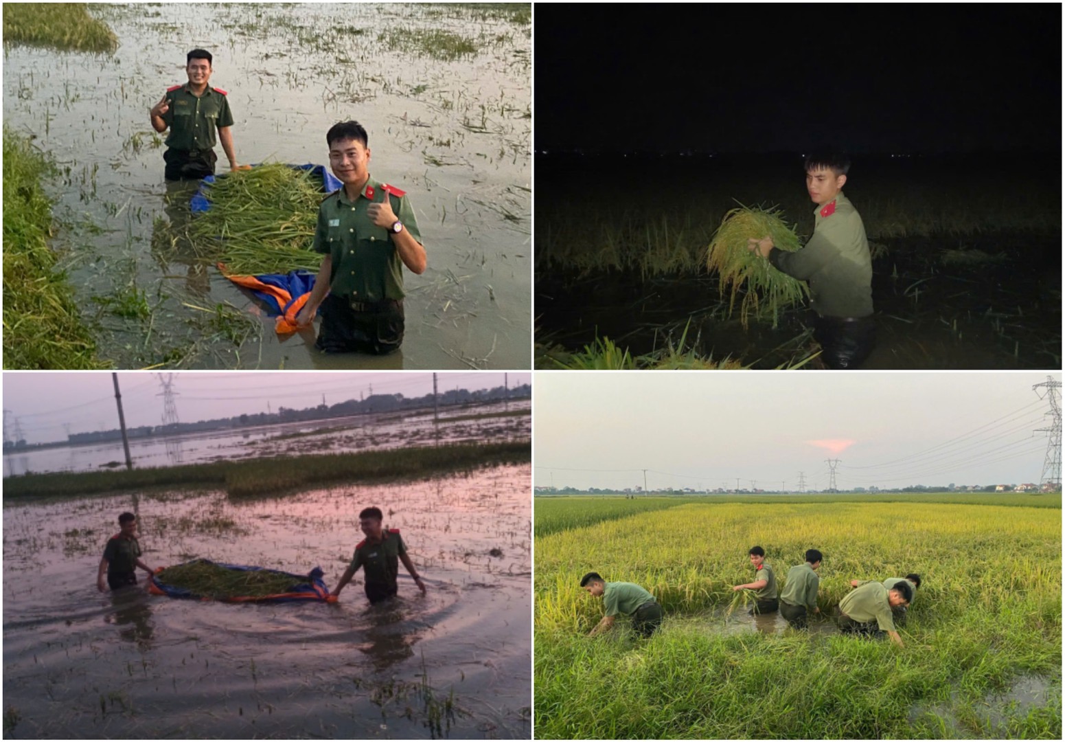 ipiccy_image (16).jpg